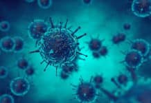 Curing Herpes Viruses Infections Using CRISPR/Cas9 Technology Life Sciences Research Career @ ICMR-National Institute of Virology