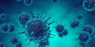 Life Sciences Research Career @ ICMR-National Institute of Virology