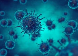Life Sciences Research Career @ ICMR-National Institute of Virology