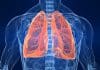 The Brain Mechanism That Regulates Breathing Found!