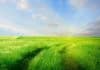 The Grass Really Is Greener – How To Unlock Hydrogen Using Your Lawn