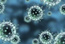 MSc & PhD Biological Sciences Scientific Officer With Rs. 1.77 Lakh Pay