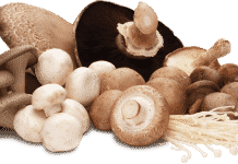 Mushrooms Aren’t Just For Stir Frys Anymore – Here Are Some Weird Uses For The Fungi