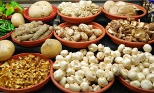 mushrooms
