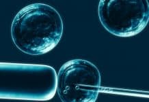 Stem Cell Production Could Be Scaled Up Using This Novel Method Research @ NIMHANS