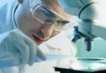 Swollen Cells – The New Microscopy Technique That Makes Viewing Accessible To Everyone