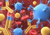 Mayo Clinic And Evelo Partner Up For Project Using Bacteria For Cancer Immunotherapies
