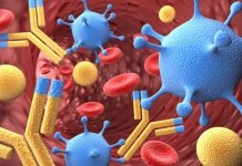 Mayo Clinic And Evelo Partner Up For Project Using Bacteria For Cancer Immunotherapies