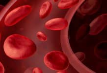 Ornim Raises $20M For Non-Invasive Continuous Blood-Flow Monitor