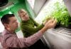Work in Multiple Trending R&D Projects @ Indian Institute of Wheat & Barley Research – IIWBR