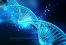 By Distracting The DNA Repair Mechanism, Scientists Can Cinch CRISPR Knockout