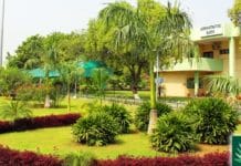 Walk-in Interview for Various Posts @ Central University of Punjab, Bathinda