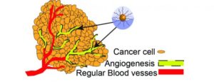 Cancer Therapy Image Published By Oregon State University