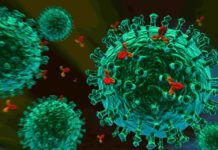 Study At The Scripps Research Institute Unveils New Twist In Immune Biology