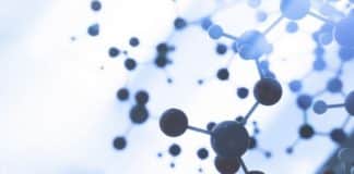 Biotechnology Jr. Research Fellow Post