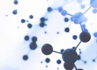 Biotechnology Jr. Research Fellow Post