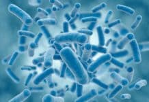 MTech Biotech & Life Sciences Research Jobs @ ICAR-IARI