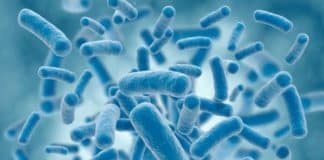 MTech Biotech & Life Sciences Research Jobs @ ICAR-IARI