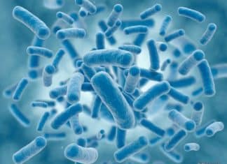 MTech Biotech & Life Sciences Research Jobs @ ICAR-IARI