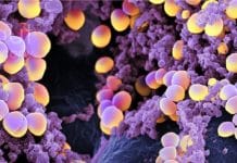 Indian Council of Medical Research (ICMR) and Pfizer Ltd. announce a partnership to combat Antimicrobial Resistance in India Indian Council of Medical Research (ICMR) and Pfizer Ltd. Announcement