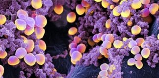 Indian Council of Medical Research (ICMR) and Pfizer Ltd. Announcement