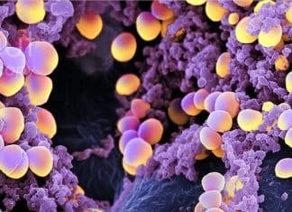 Indian Council of Medical Research (ICMR) and Pfizer Ltd. announce a partnership to combat Antimicrobial Resistance in India Indian Council of Medical Research (ICMR) and Pfizer Ltd. Announcement