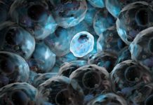 Scientists Design Drug to Control Premature Differentiation of Stem Cells