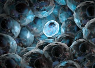 Scientists Design Drug to Control Premature Differentiation of Stem Cells