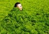 Biofuel Producing Microbes Get A Boost Against Invaders