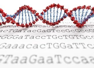 Scientists Design New Letters of the Genetic Code
