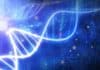 Dr. D. Y. Patil Biotechnology & Bioinformatics Institute Hiring JRF On DST Research Project