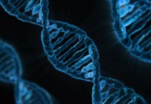 Mutation linked with psychiatric disorders identified