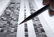 Virtual 3D Human Cancer Tissues to Accelerate, Enhance Research