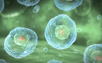 MSc /M.Tech Biochemistry / Biotech Candidates Work As Research Associate – Assay Biology @ Syngene