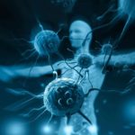 Information Officer Post vacant in Bioinformatics group @ IIAR