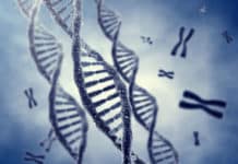 SRF Vacancy for MSc Microbiology & Biotech