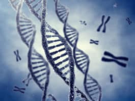 SRF Vacancy for MSc Microbiology & Biotech