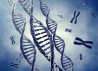 SRF Vacancy for MSc Microbiology & Biotech