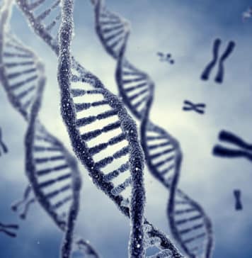 SRF Vacancy for MSc Microbiology & Biotech