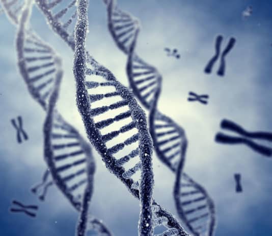 SRF Vacancy for MSc Microbiology & Biotech