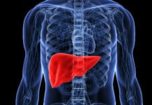 The Brain Dead gives life to Another | Harvested Liver taken to Bengaluru