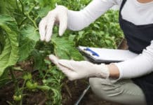 Details on JRF & SRF Job at Wildlife Institute of India can be found here. 2459+ JRF Jobs & 1580 SRF Jobs has been posted at Biotecnika this month.