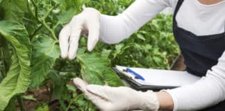 Details on JRF & SRF Job at Wildlife Institute of India can be found here. 2459+ JRF Jobs & 1580 SRF Jobs has been posted at Biotecnika this month.
