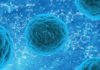 Chinese Scientists defined Virus-specific Cell subsets contain the Chronic Viral infection