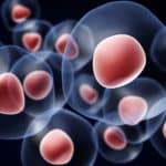 Apply for short term projects @ Centre for Stem Cell Research | Only students pursuing a degree are eligible