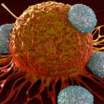 Is Our Body Turning A Blind Eye to Cancer-Driving Mutations?