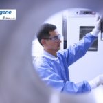 Freshers Job @ Syngene | Work As Research Investigator in Biotransformation