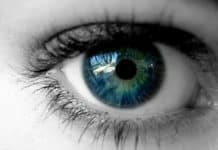 AIIMS Celebrates 50 years of Gifting Vision 16,252 Times