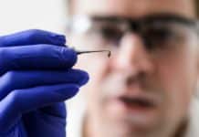 JRF Posts in DBT & SERB Projects for Biological Sciences Candidates @ Guru Gobind Singh Indraprastha University Clariant Hiring PhD Candidates for Expert Toxicology Position