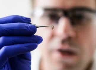 Clariant Hiring PhD Candidates for Expert Toxicology Position